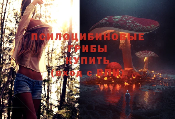метадон Рославль