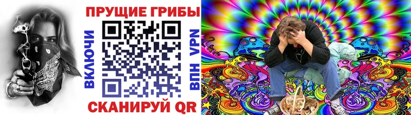 Галлюциногенные грибы Magic Shrooms  как найти наркотики  Красный Холм 